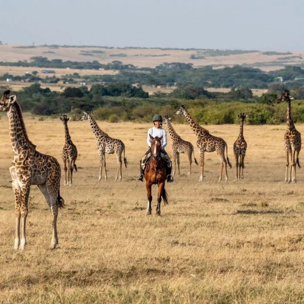 Horse Riding Mara Experience