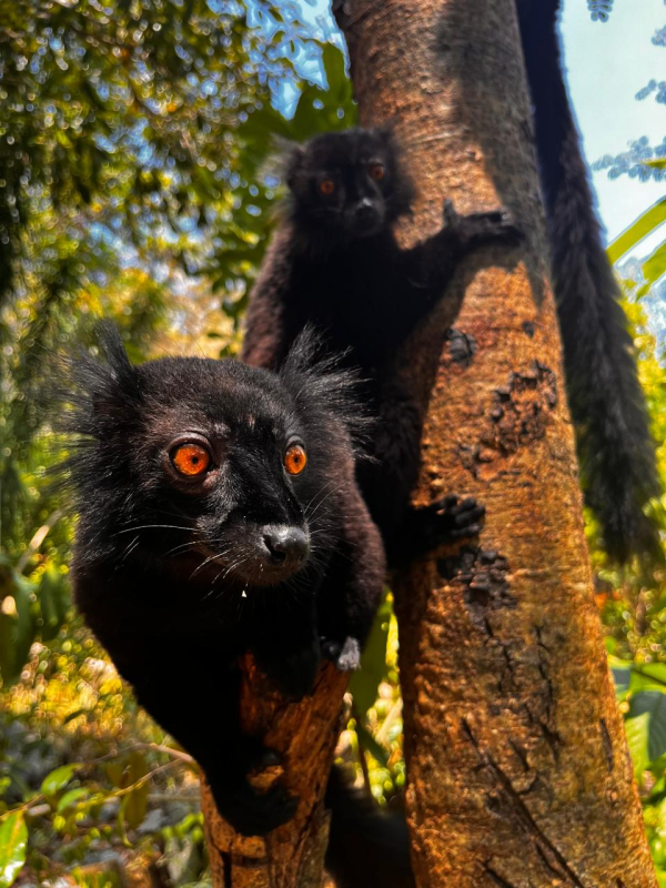 6 days beach experience in Madagascar-Nosey Be